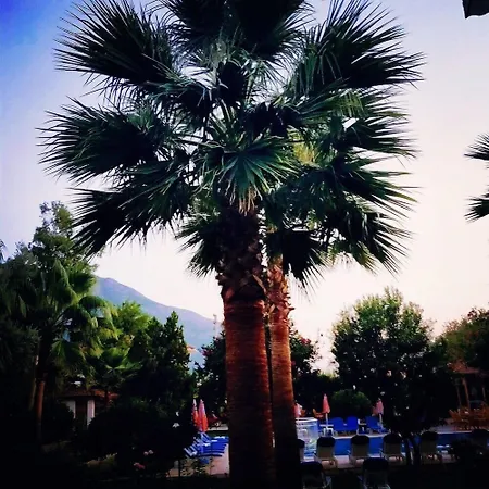 Gorkem & 3* Ölüdeniz